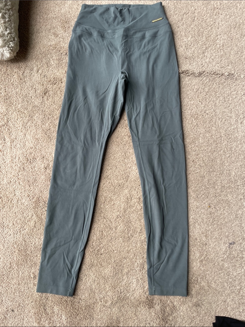 Whitney Simmons x Gymshark Leggings